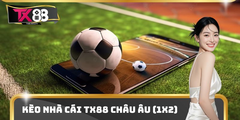 3 Kèo Nhà Cái TX88 Dẫn Đầu Thị Trường Cá Cược Về Độ Hot 2 1X2 là loại hình được sử dụng phổ biến