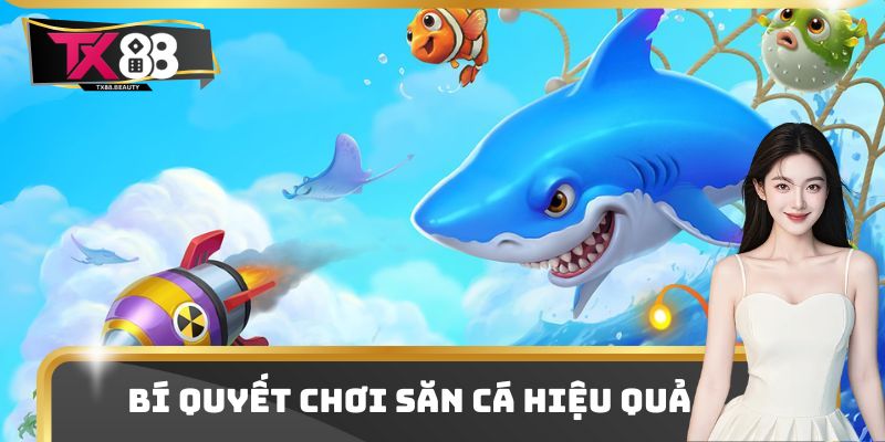 Bắn Cá Đại Dương Tx88 - Trải Nghiệm Săn Bắn Siêu Hiện Đại 3 Bí quyết chơi săn cá hiệu quả