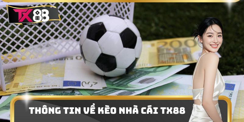 3 Kèo Nhà Cái TX88 Dẫn Đầu Thị Trường Cá Cược Về Độ Hot 1 Một số thông tin cơ bản về kèo nhà cái TX88